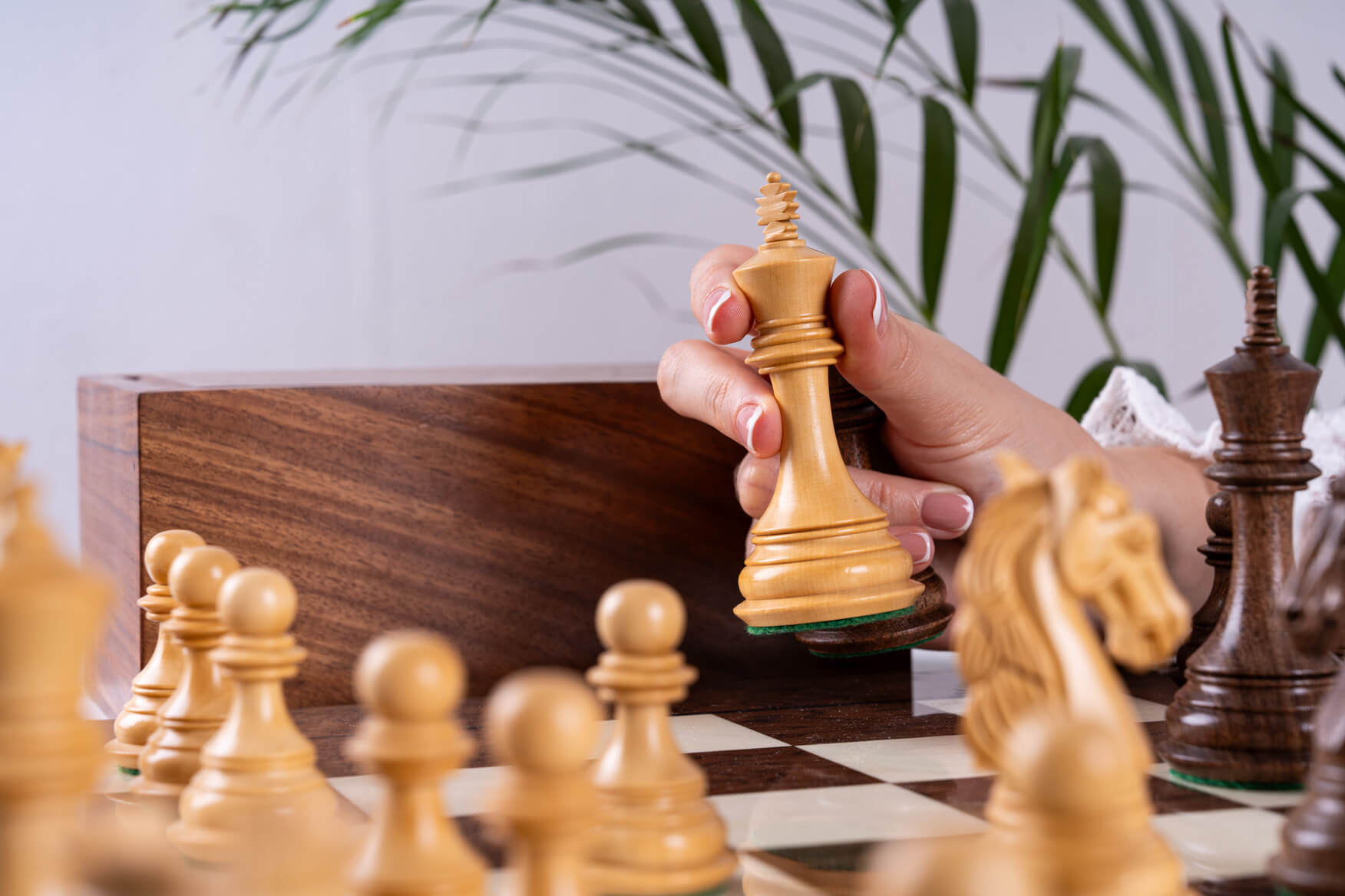Schachspiel Kühnheit <br>aus Eschenmaserholz und Akazie