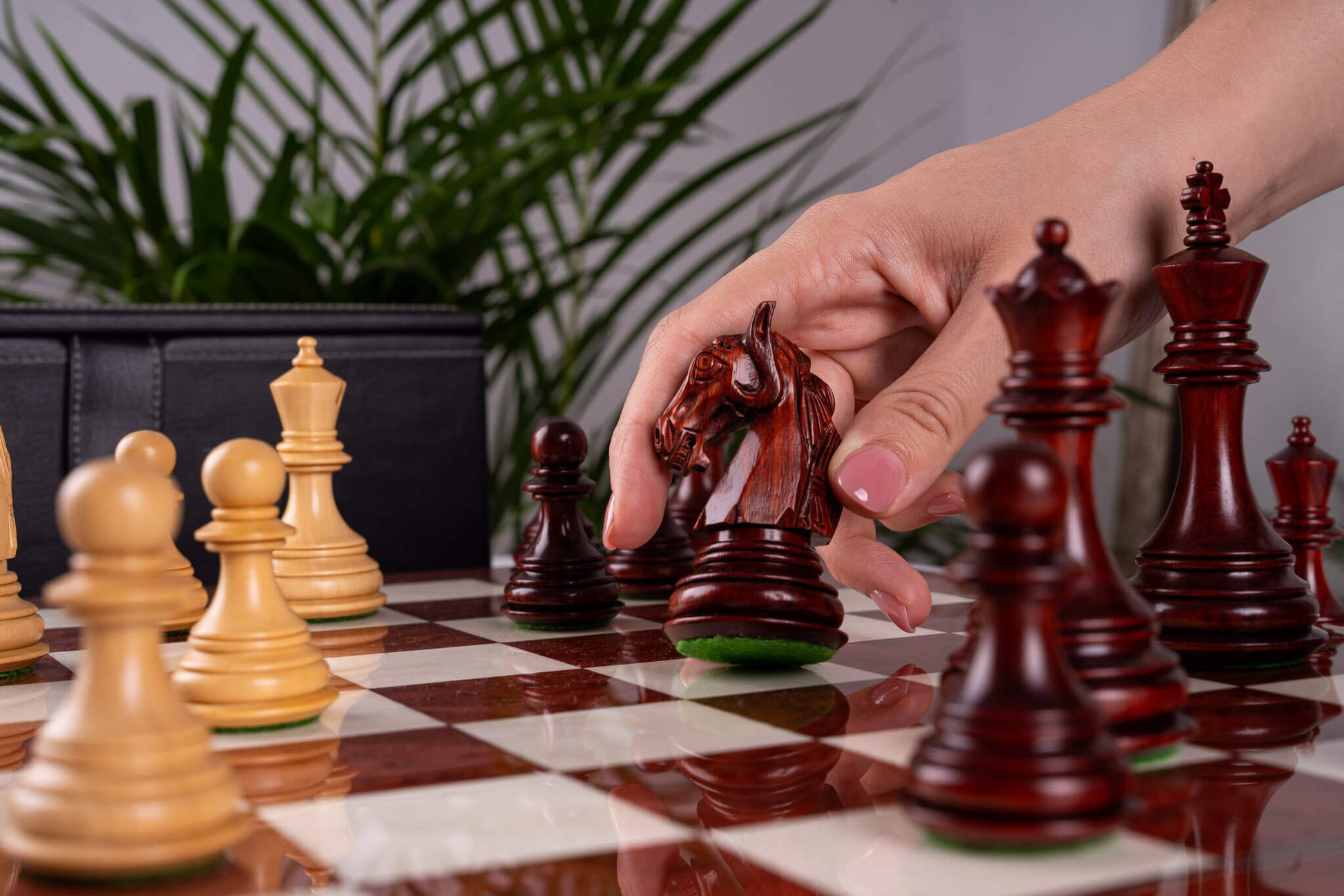 Schachspiel Le Trône <br>aus Eschenmaser