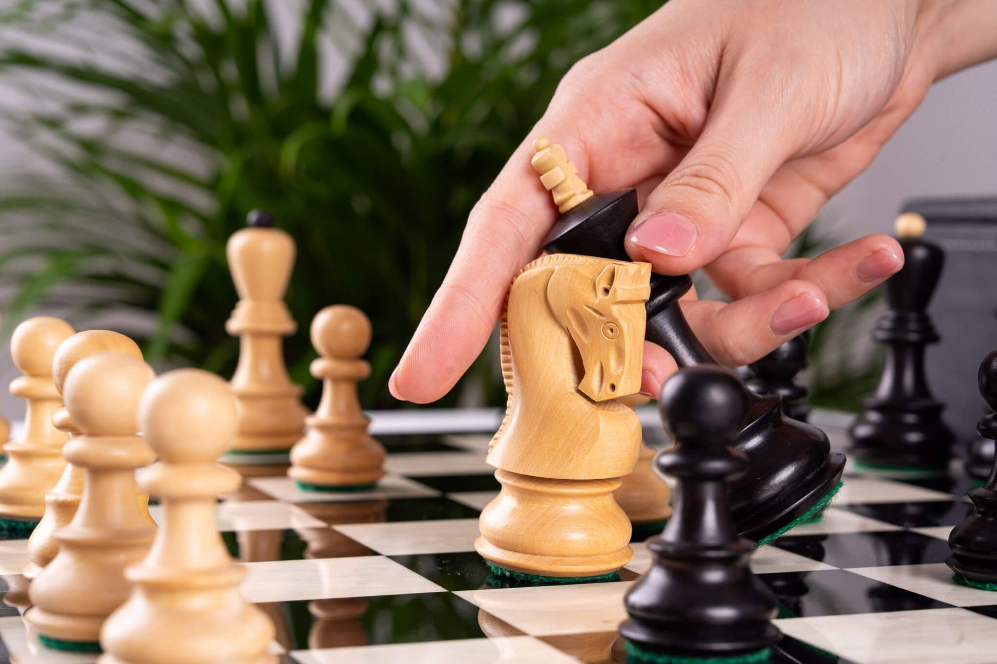 Schachspiel Virtuose <br>aus Ebenholz und Buchsbaum