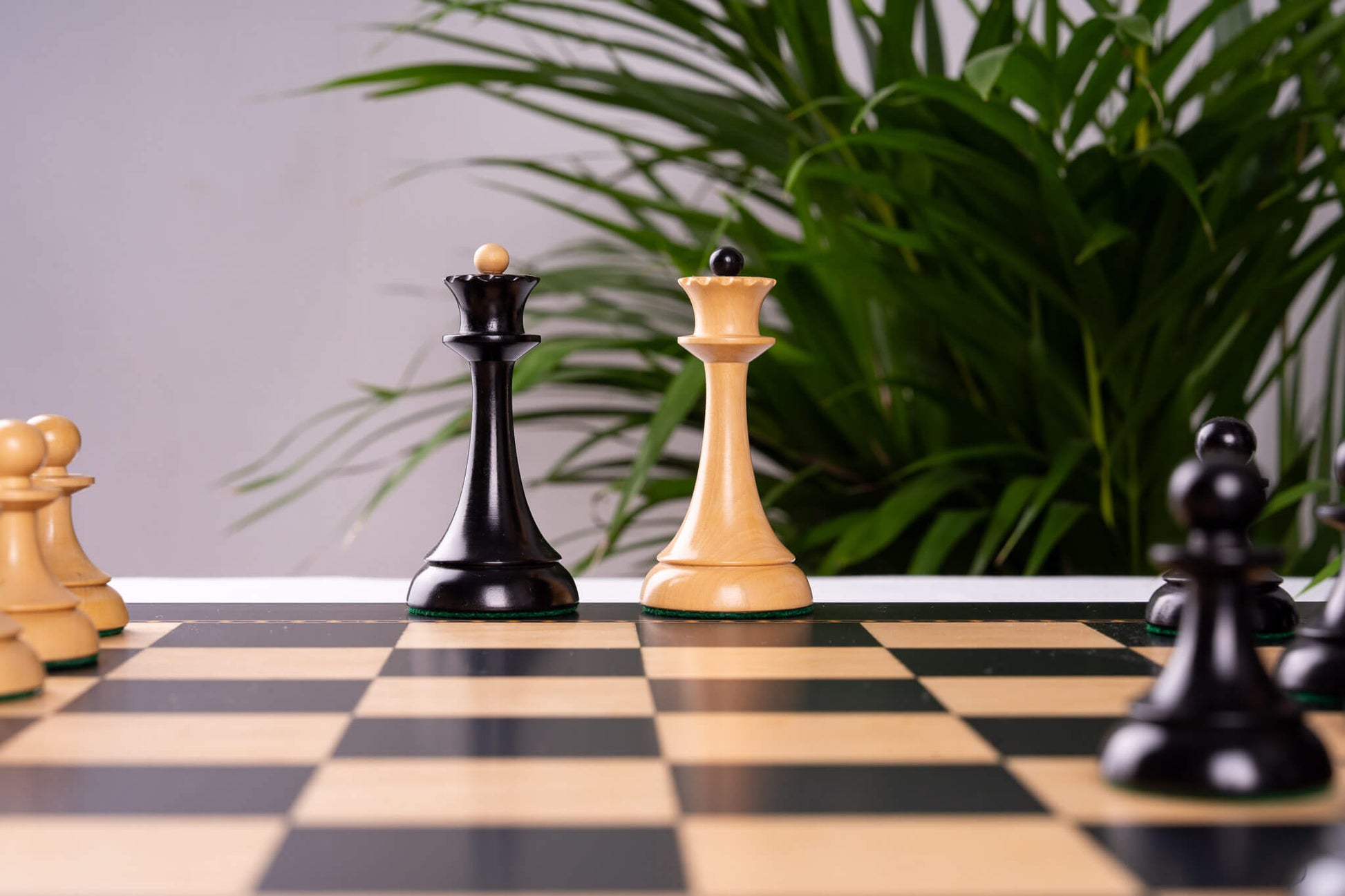 Schachspiel <br>Gambit Royal