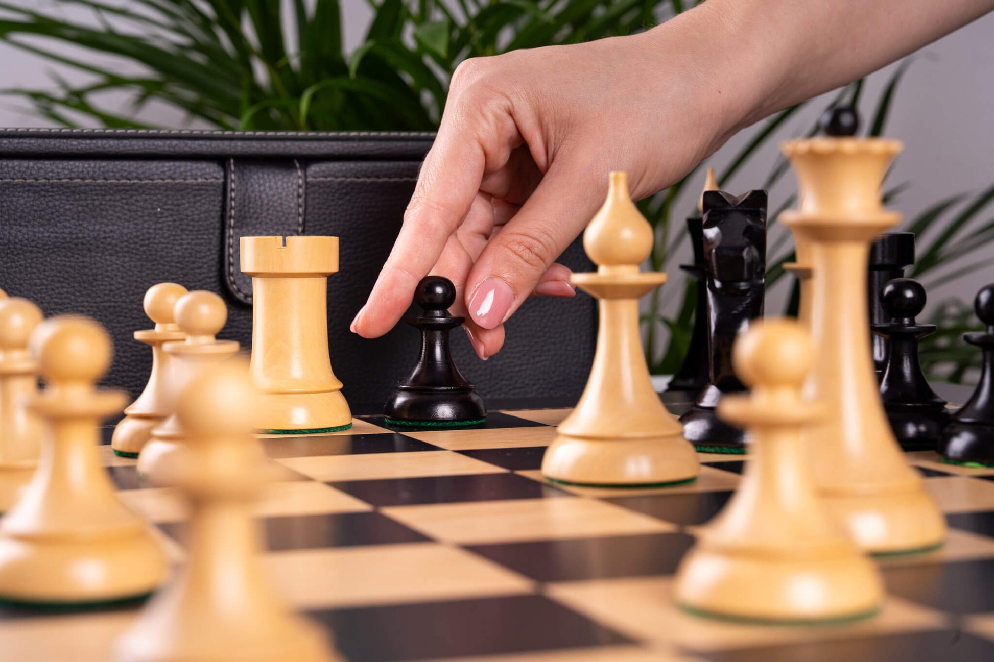 Schachspiel <br>Gambit Royal