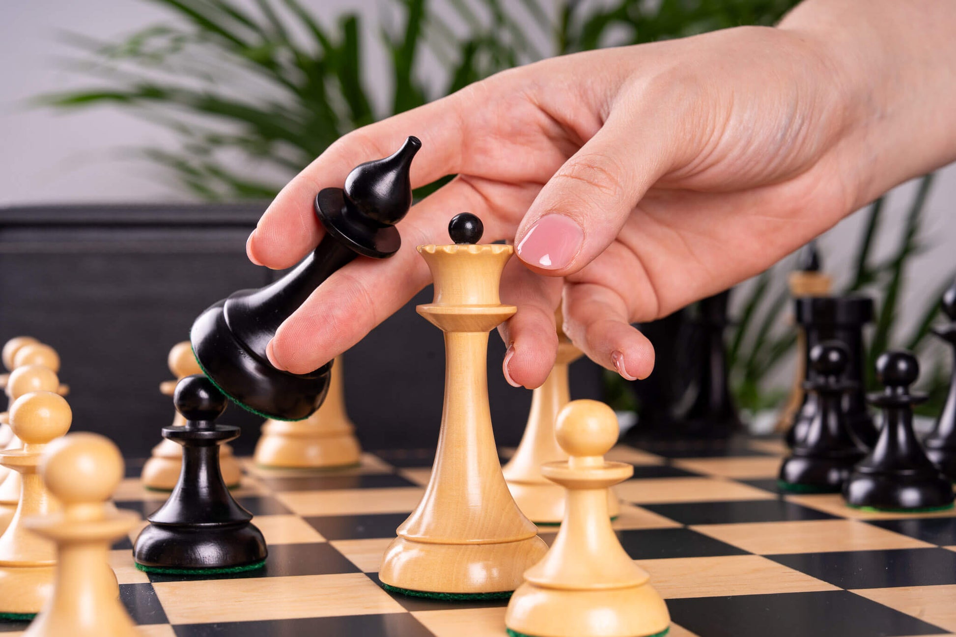 Schachspiel <br>Gambit Royal