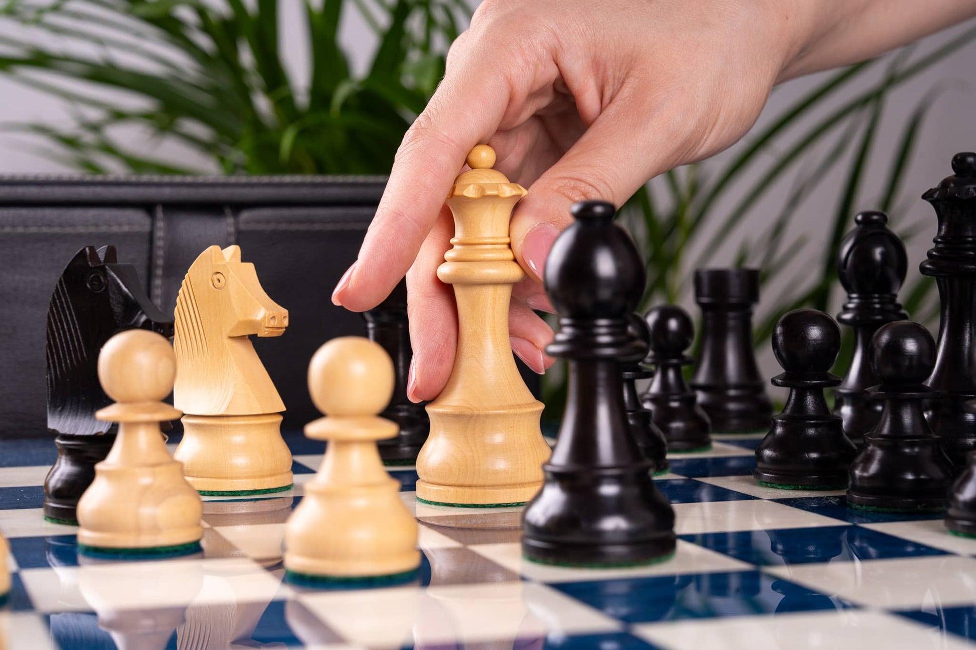 Schachspiel Renouveau <br>aus Eschenmaser