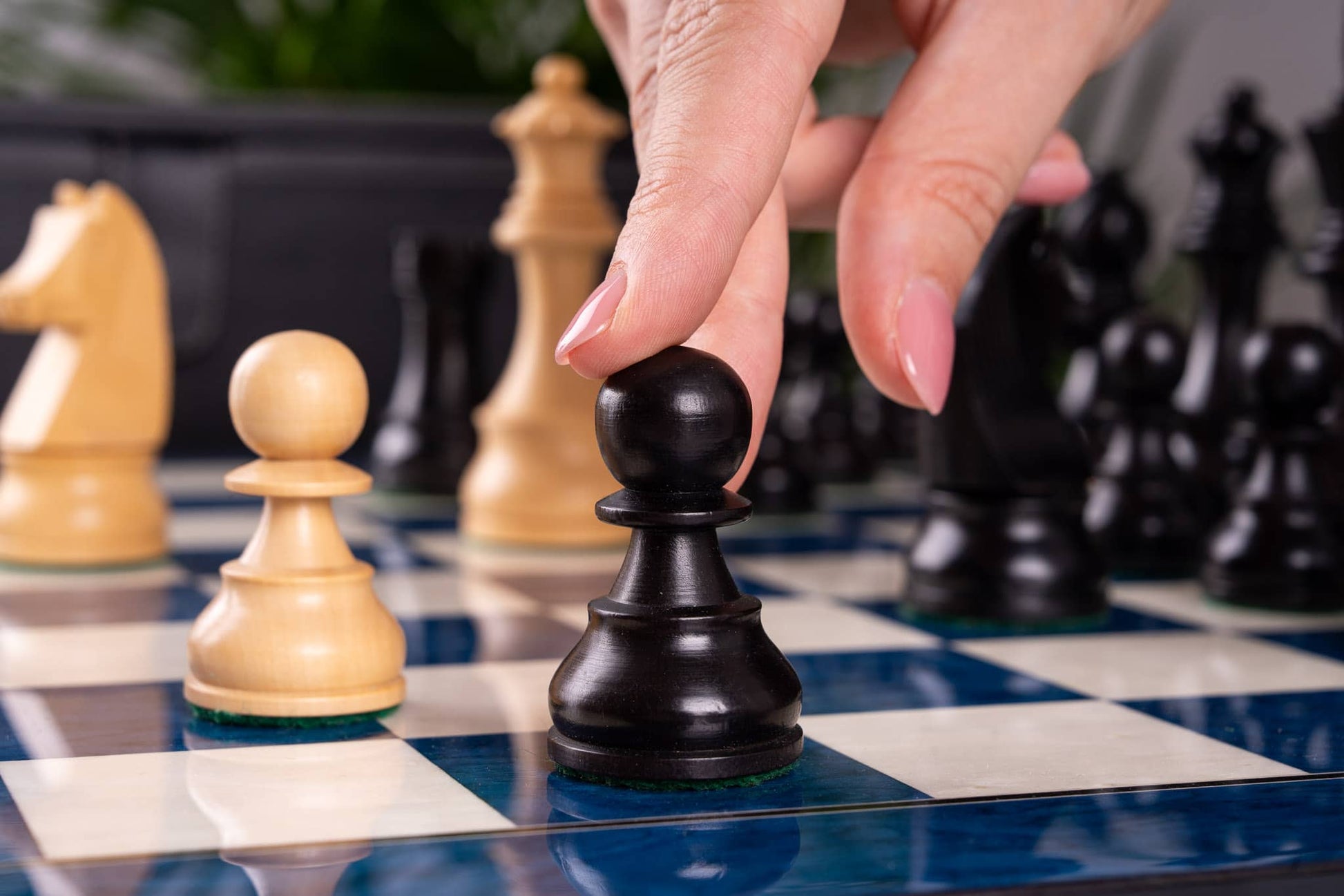 Schachspiel Renouveau <br>aus Eschenmaser