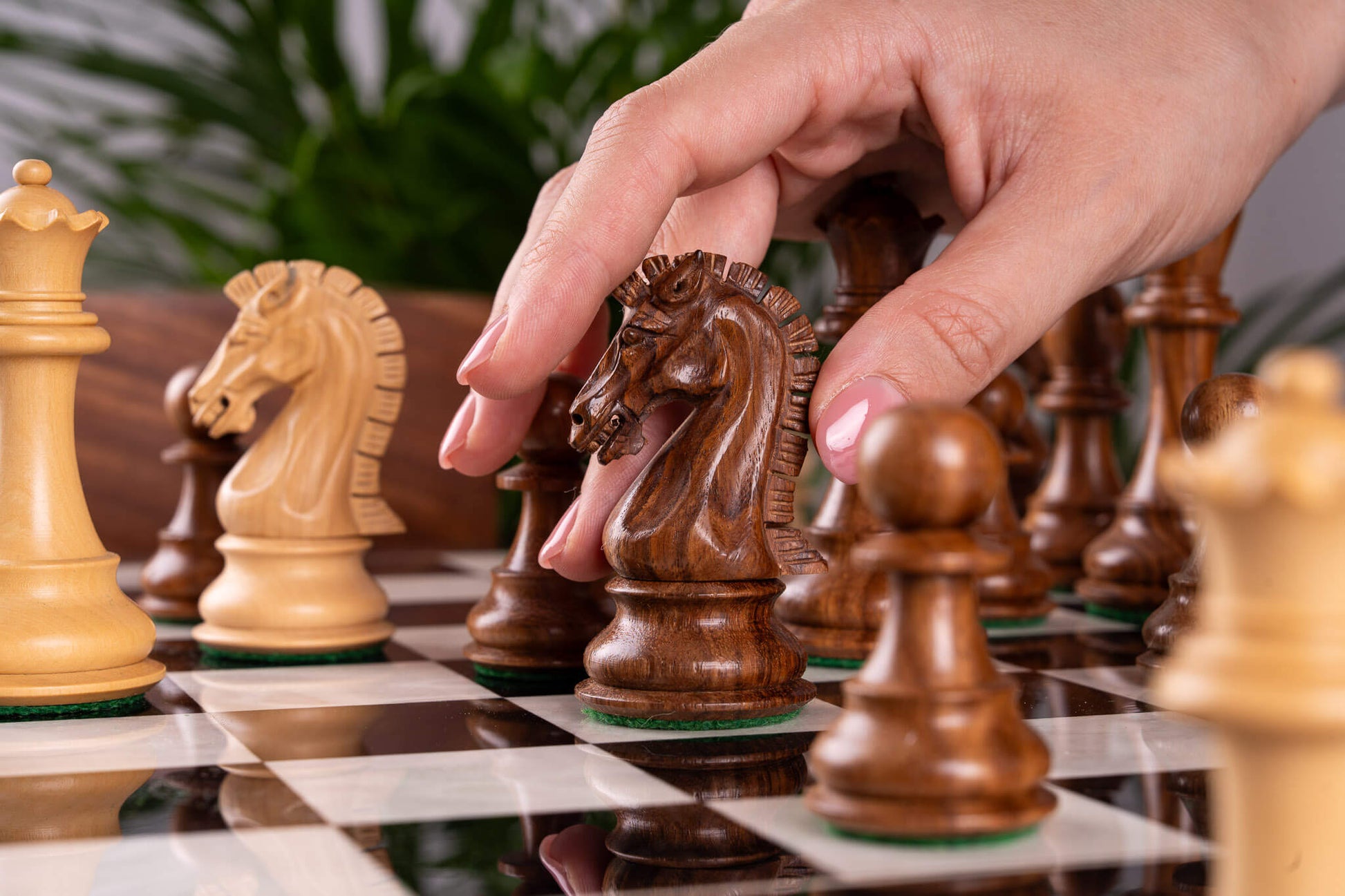 Schachspiel Couronne <br>aus Ebenholz